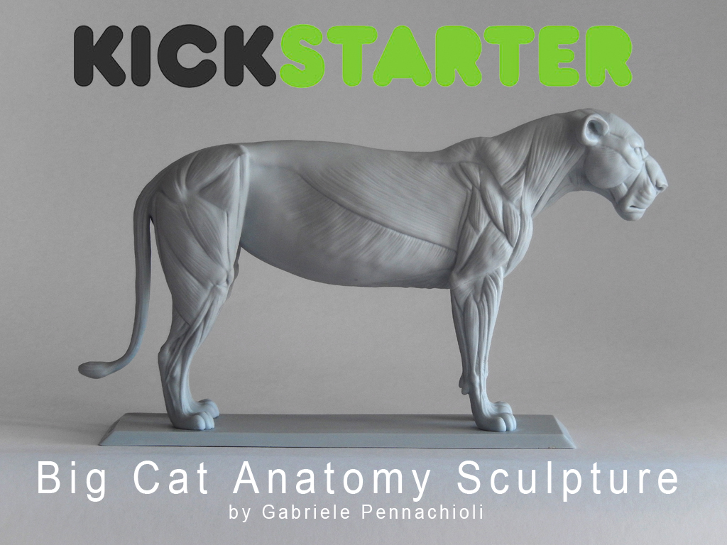 kick_01.jpg