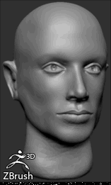DevB_MaleHead_v01