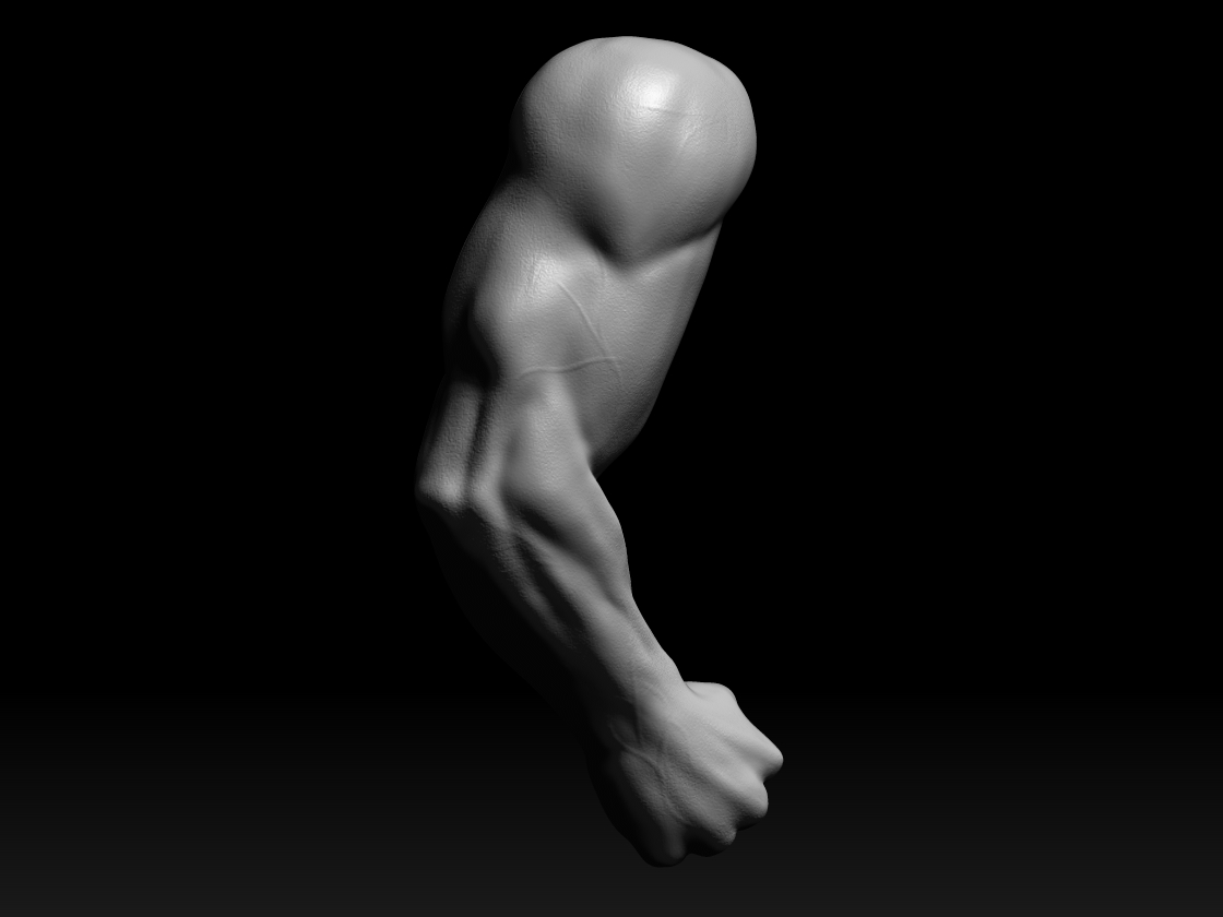ArmPosede.jpg