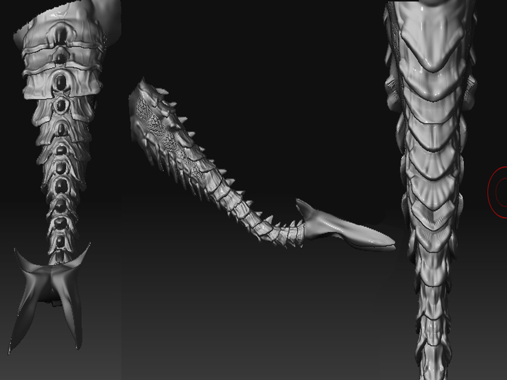 TAIL.jpg