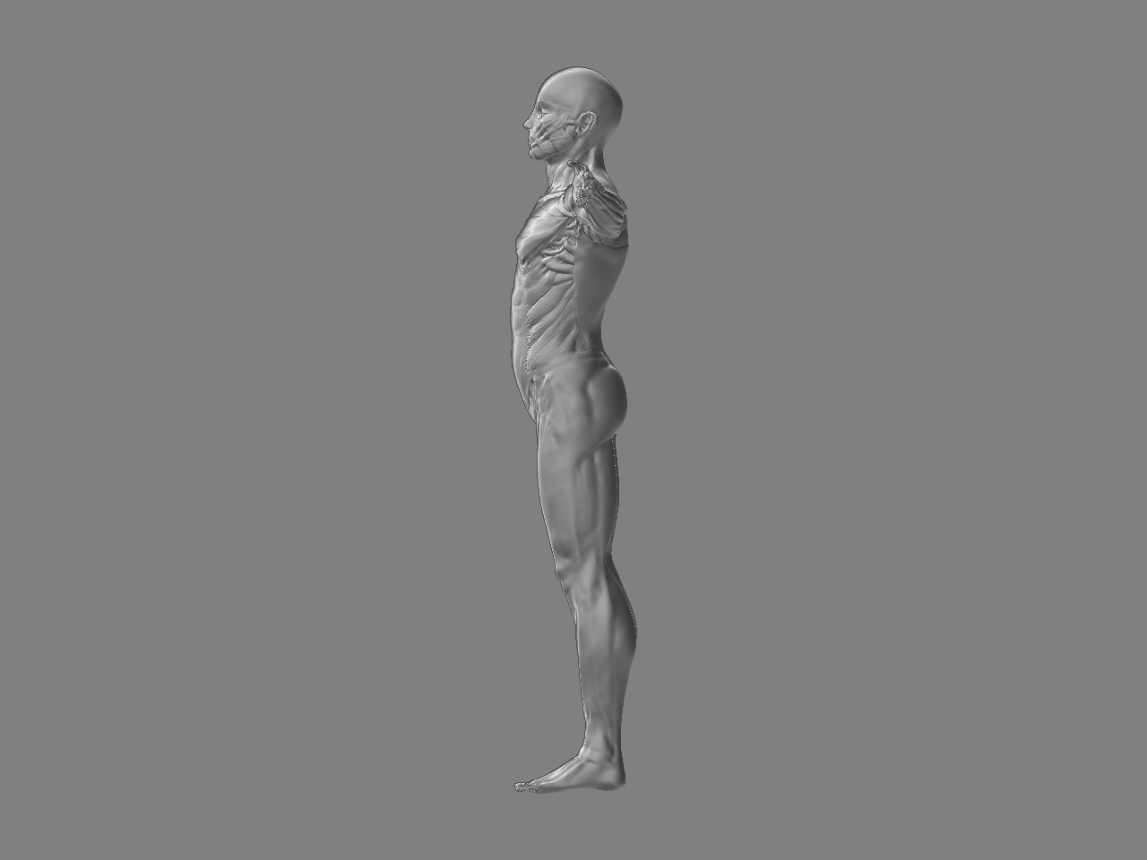 side correct.jpg