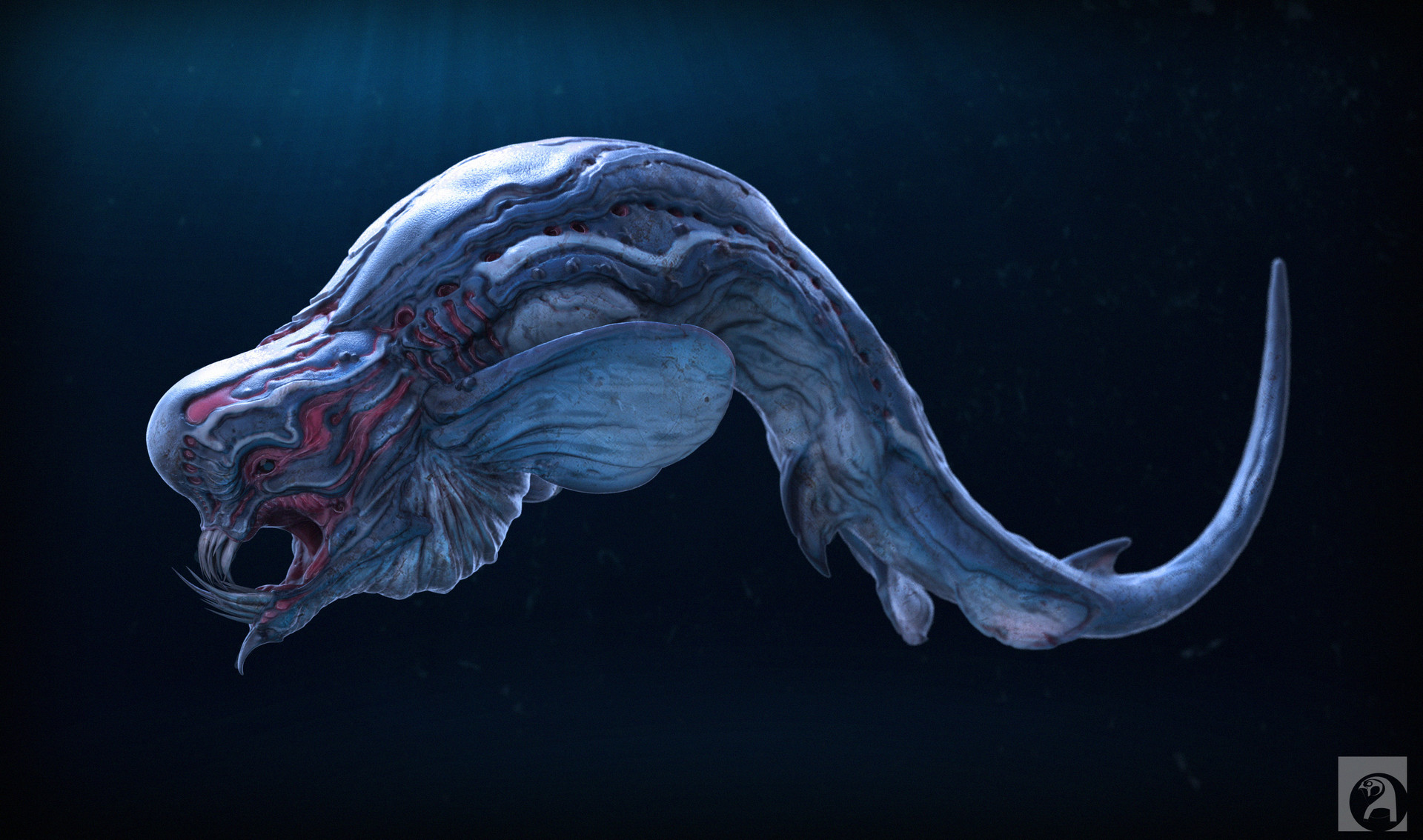 bruce-conners-eel01.jpg