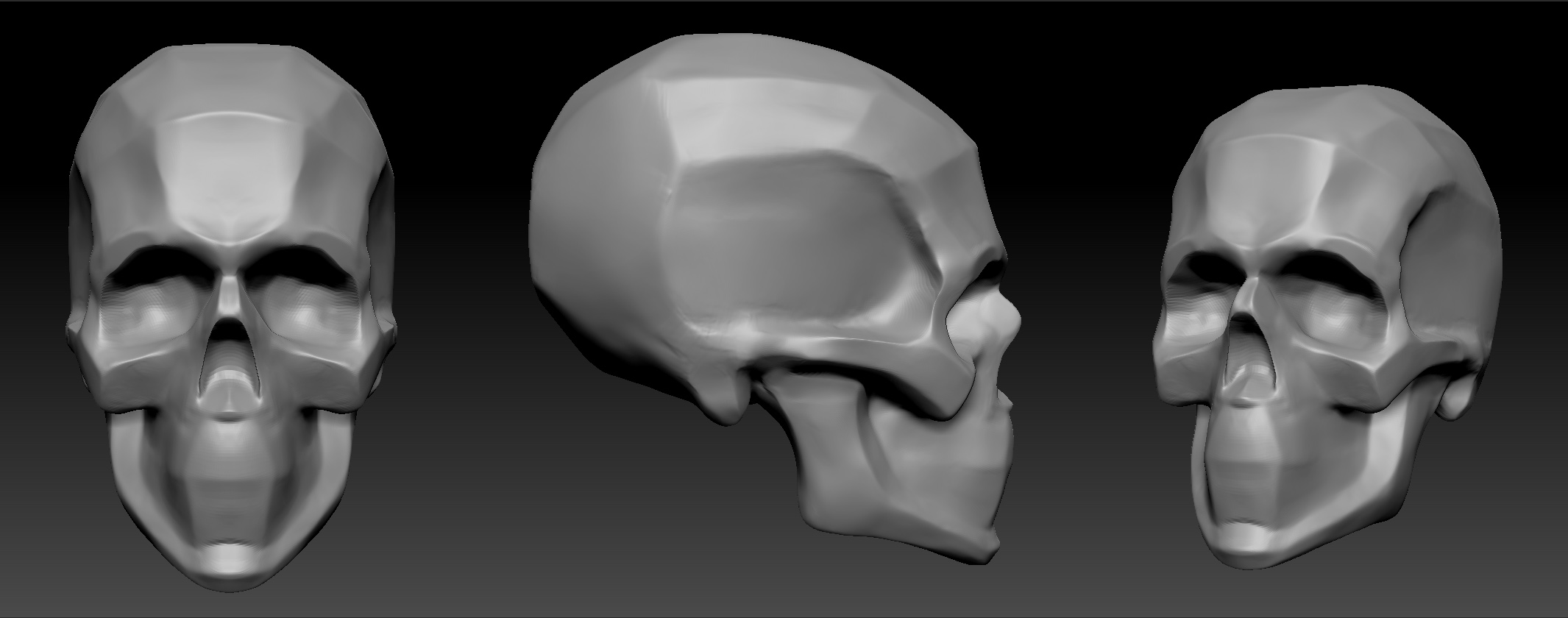 skull_construction.jpg