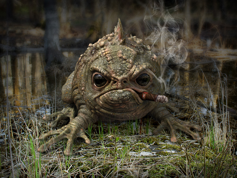 frog_A_small.jpg