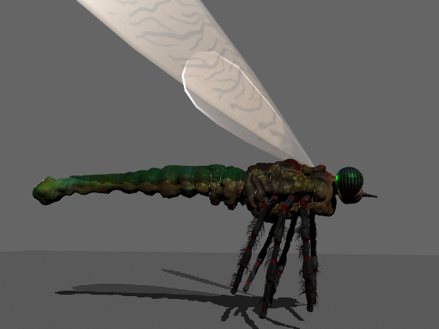 fly2.jpg