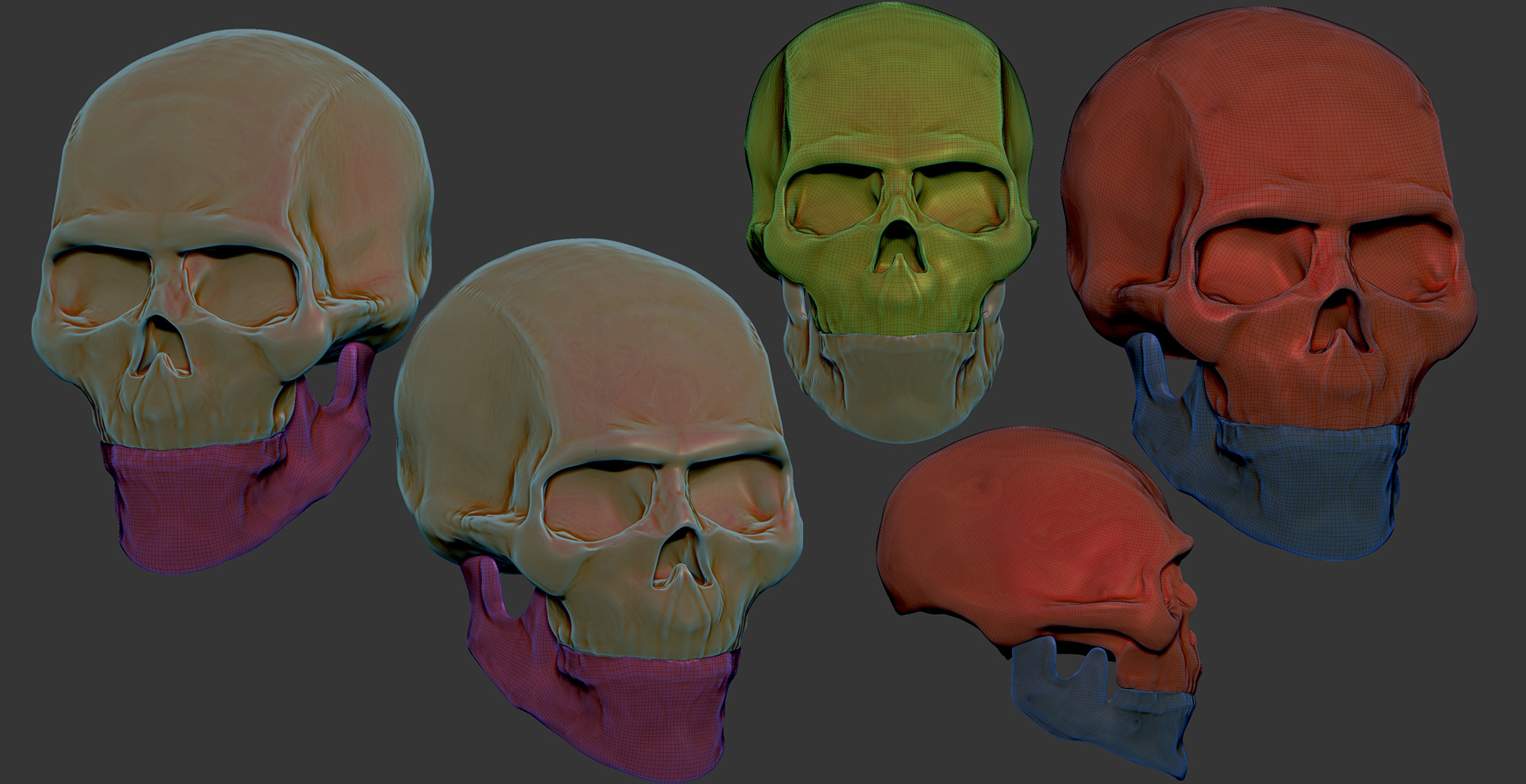 BASE Skull_smaller.jpg