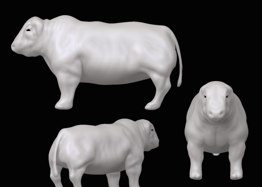 modelingbull.jpg