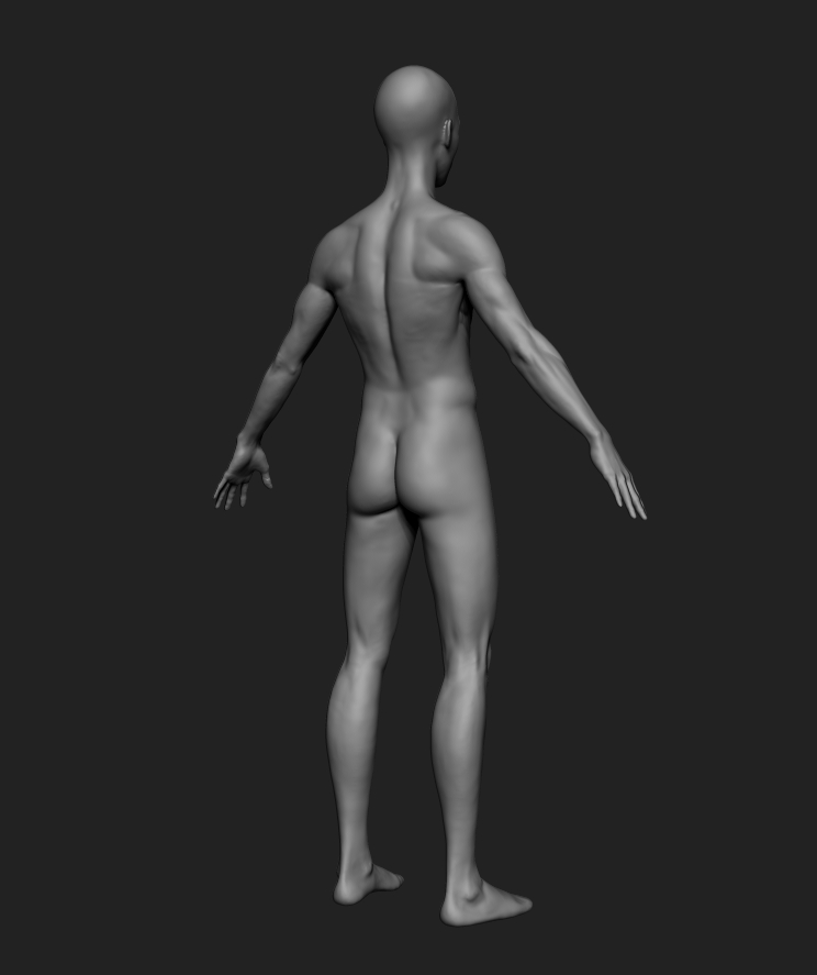 eren_WIP_004-rear.jpg