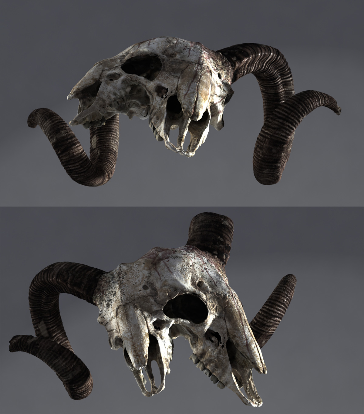 ram01.jpg