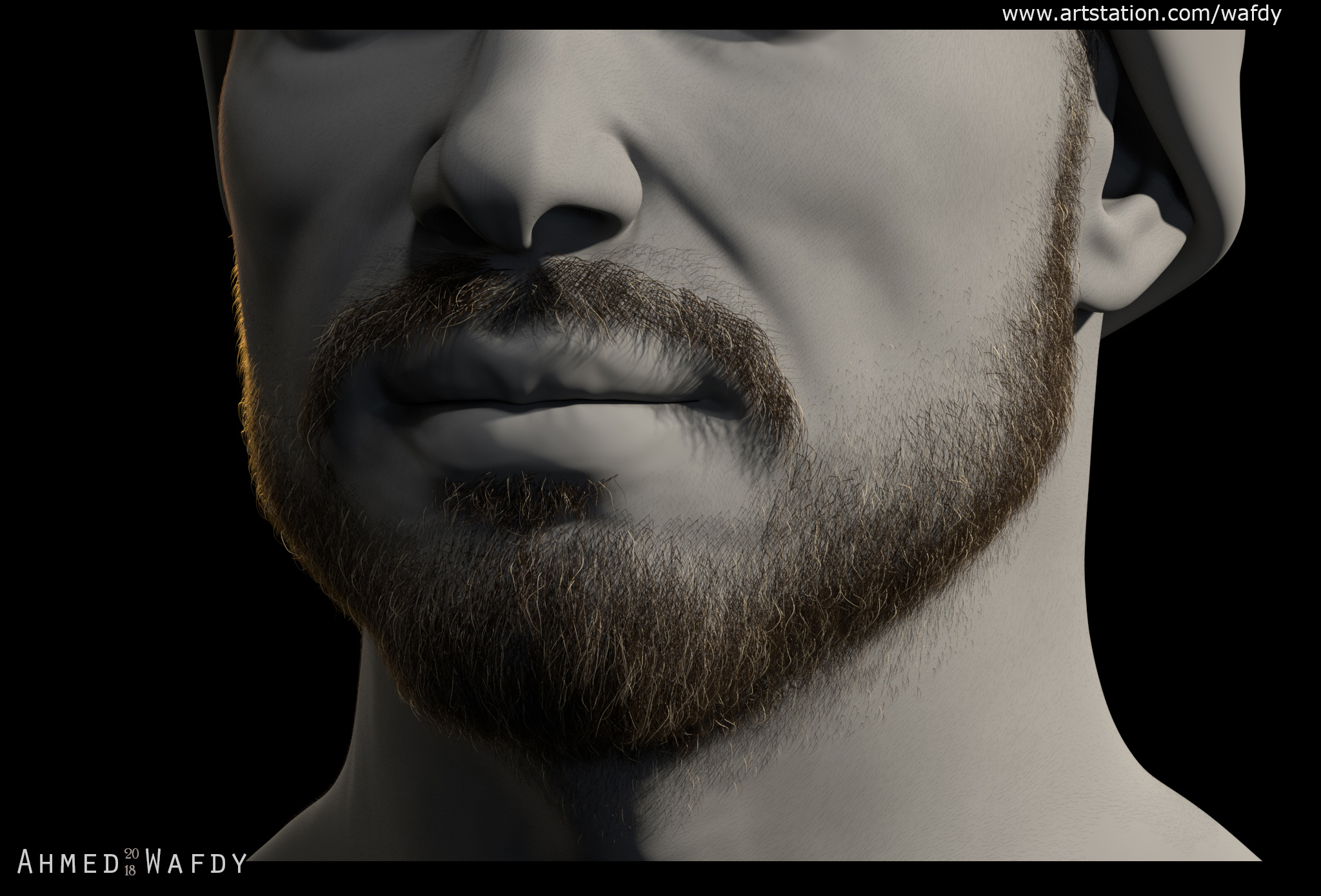Ahmed_Wafdy_Xgen_Beard.JPG