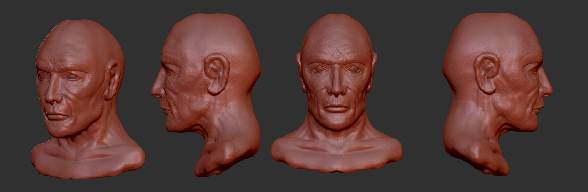 head-sculpt-views.jpg