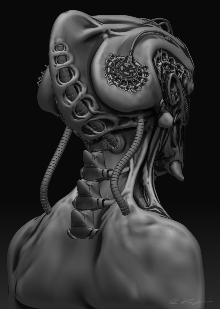 TEST1-BACK.jpg