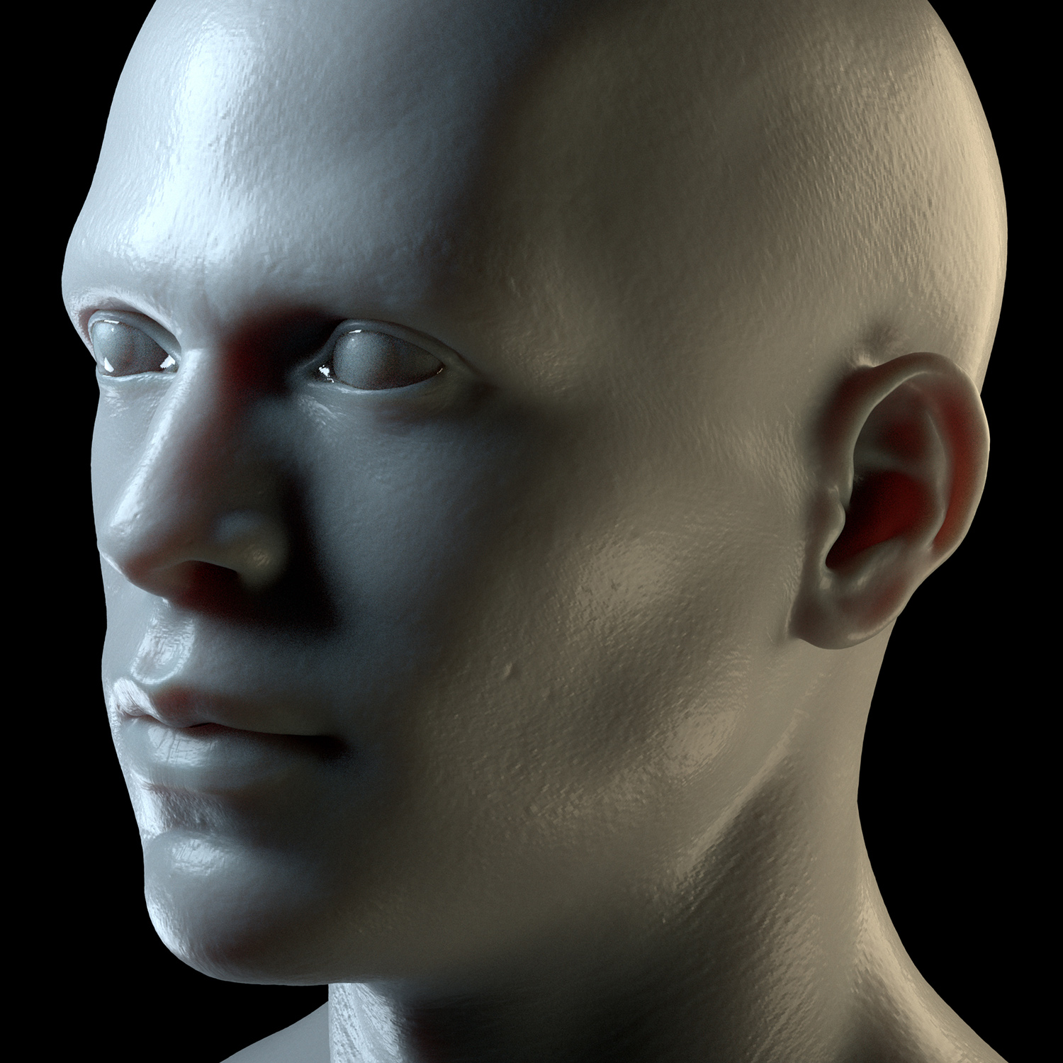 male2.jpg