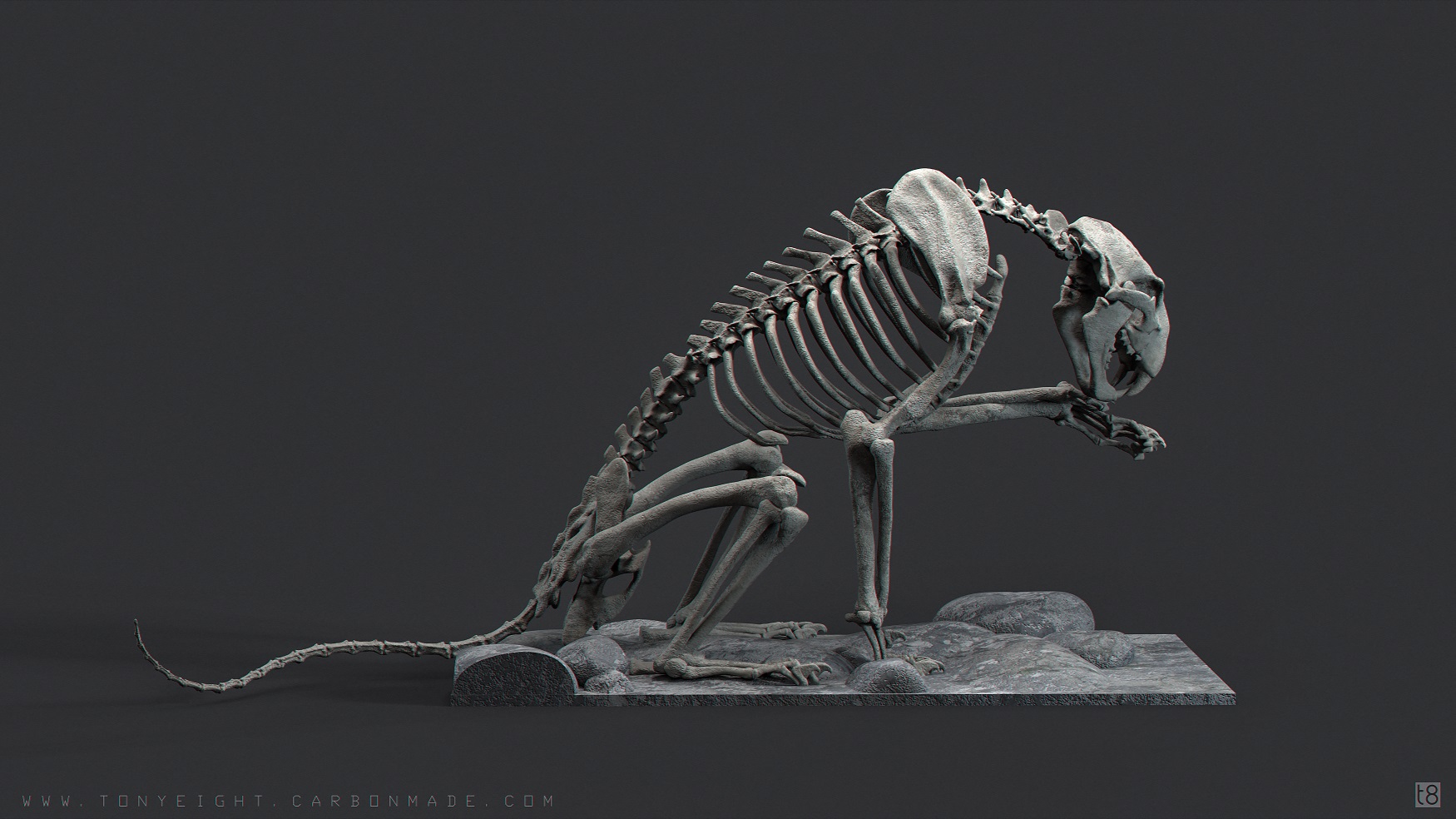 Lion_Skeleton_06.1_small.jpg