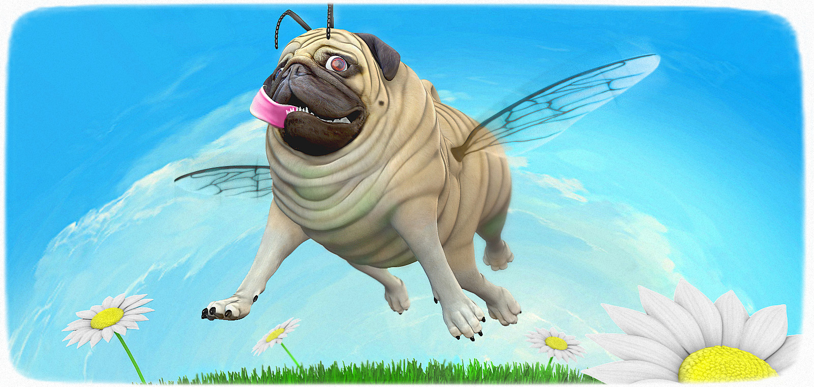 Pugbee.jpg