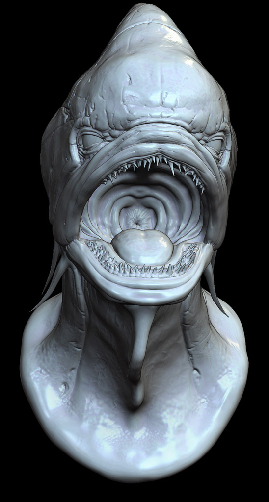fishhead_front_web.jpg