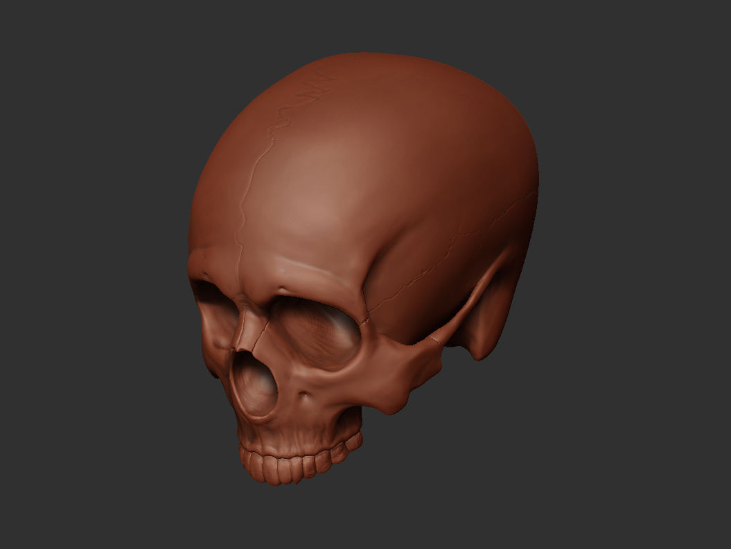 Skull002.jpg