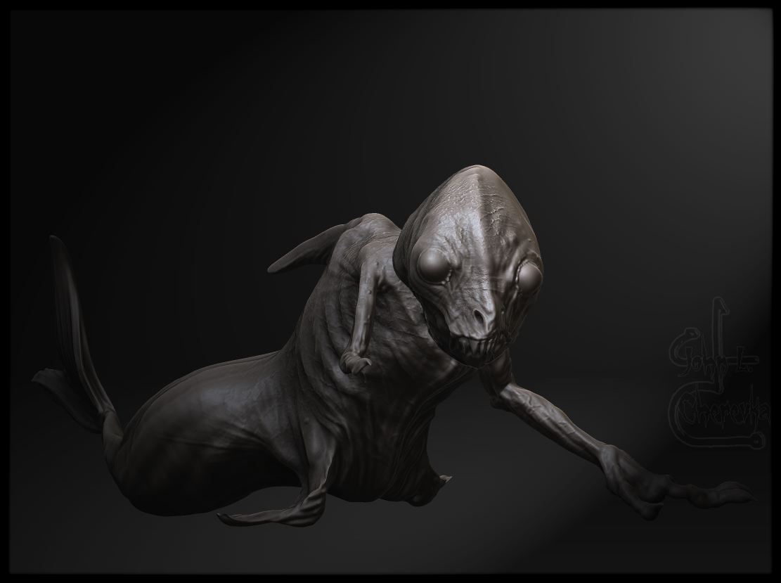 fijimermaid2.jpg