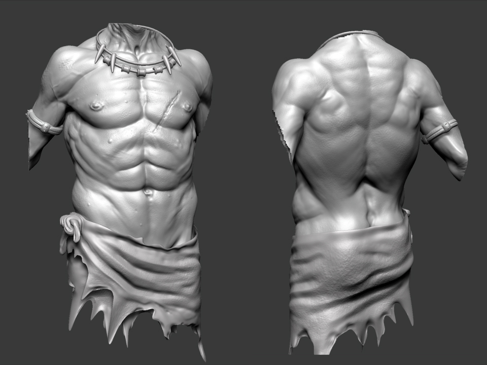 torso.jpg