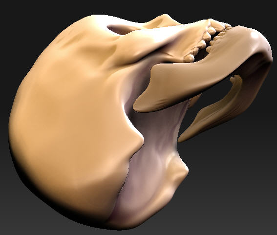 skullsup.jpg