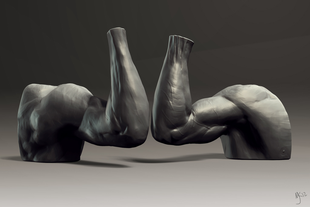 06_Pronated_Arm_web.jpg