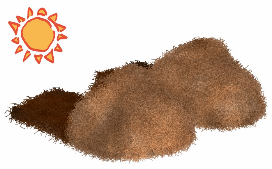 CiabattePeluche.jpg