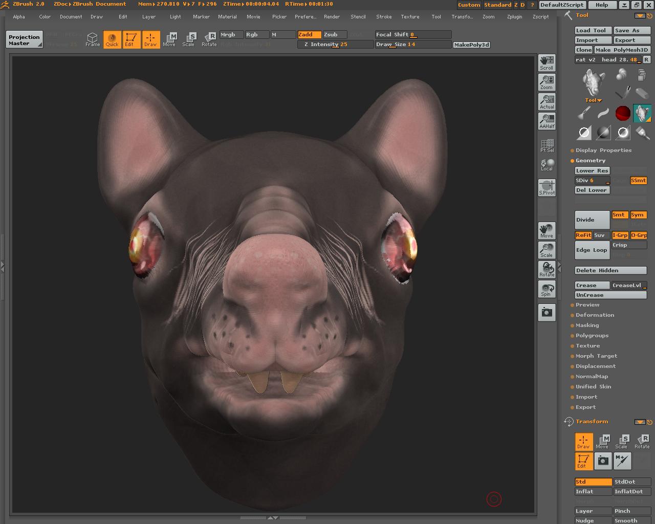 rat head front 2.JPG