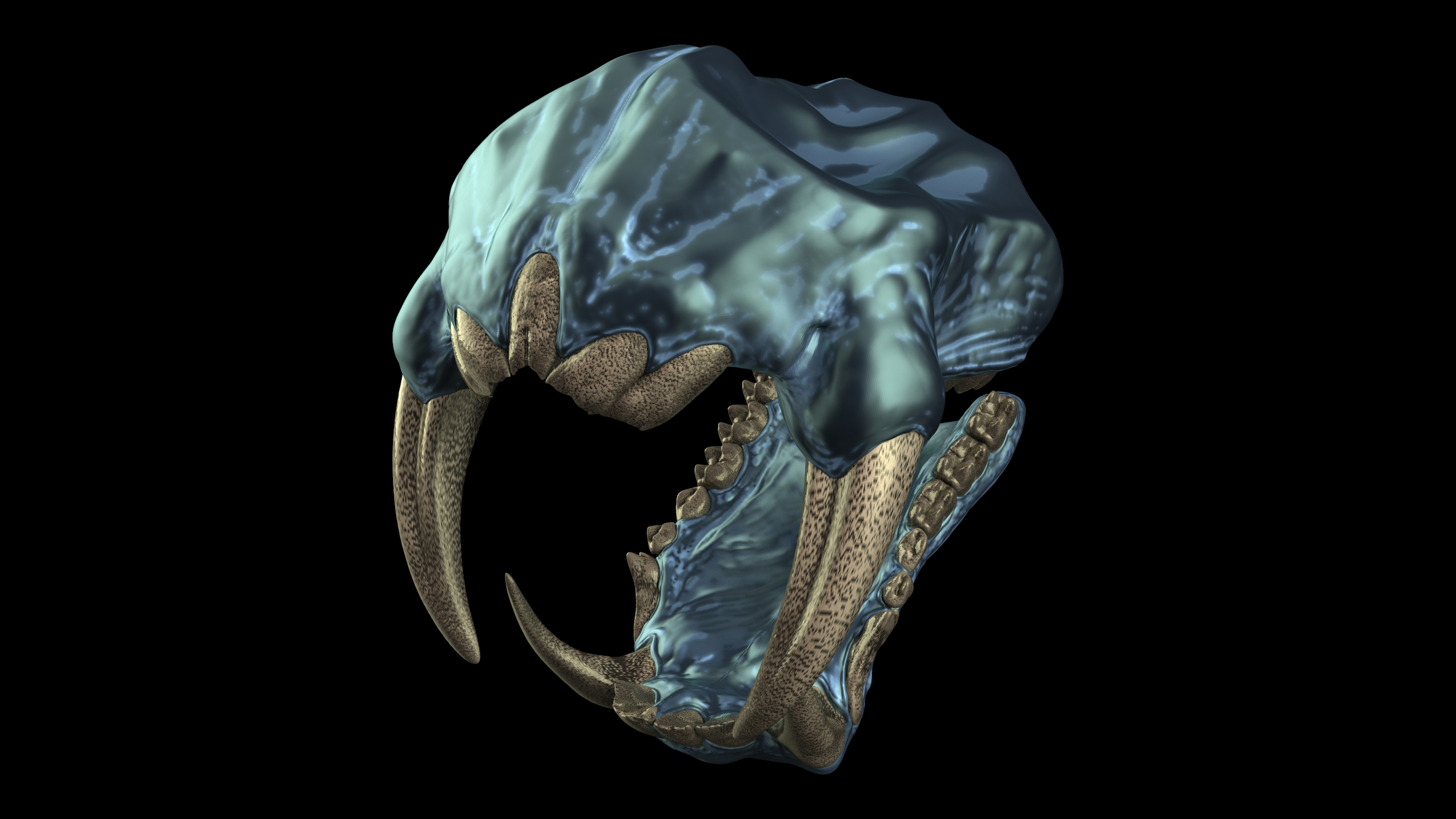 Teeth_Kits_Master_Views_Mandrill_12.jpg