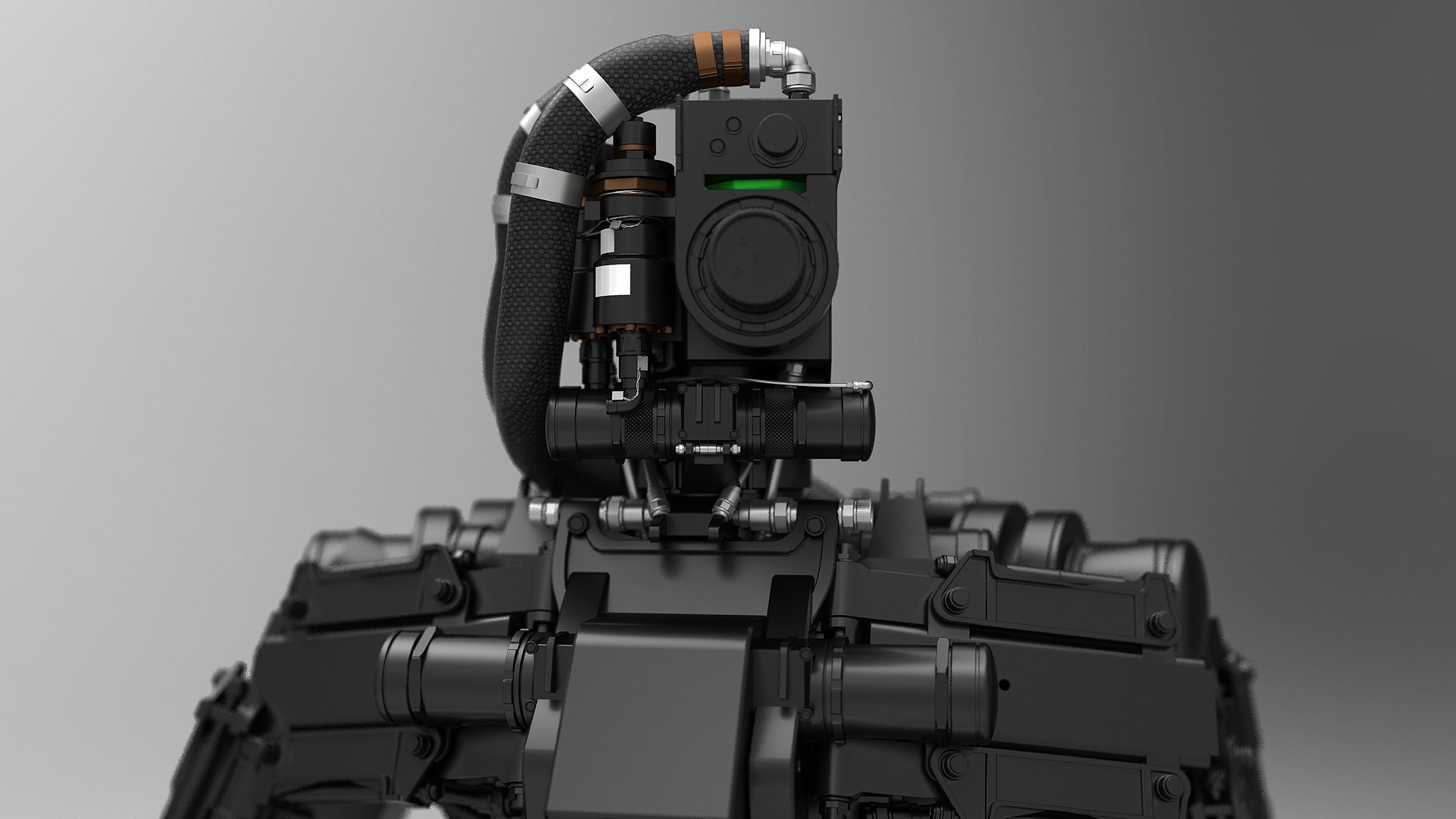 Sceleton_CloseUp.jpg