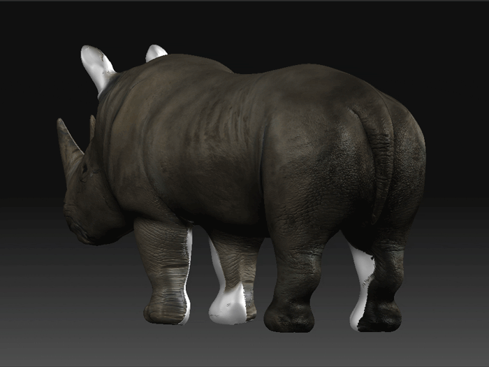 RhynoRedo_EarlyWIP_GIF_03(300kb).gif