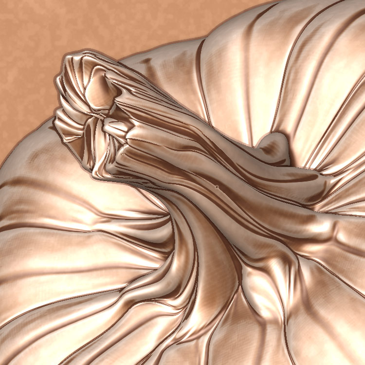close-up.jpg