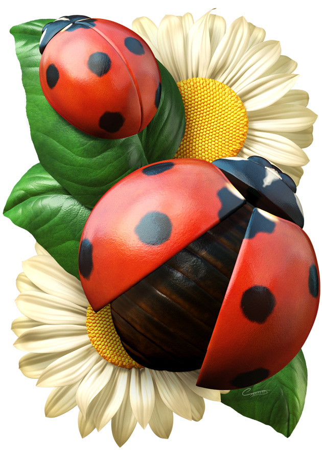 Ladybugs.jpg