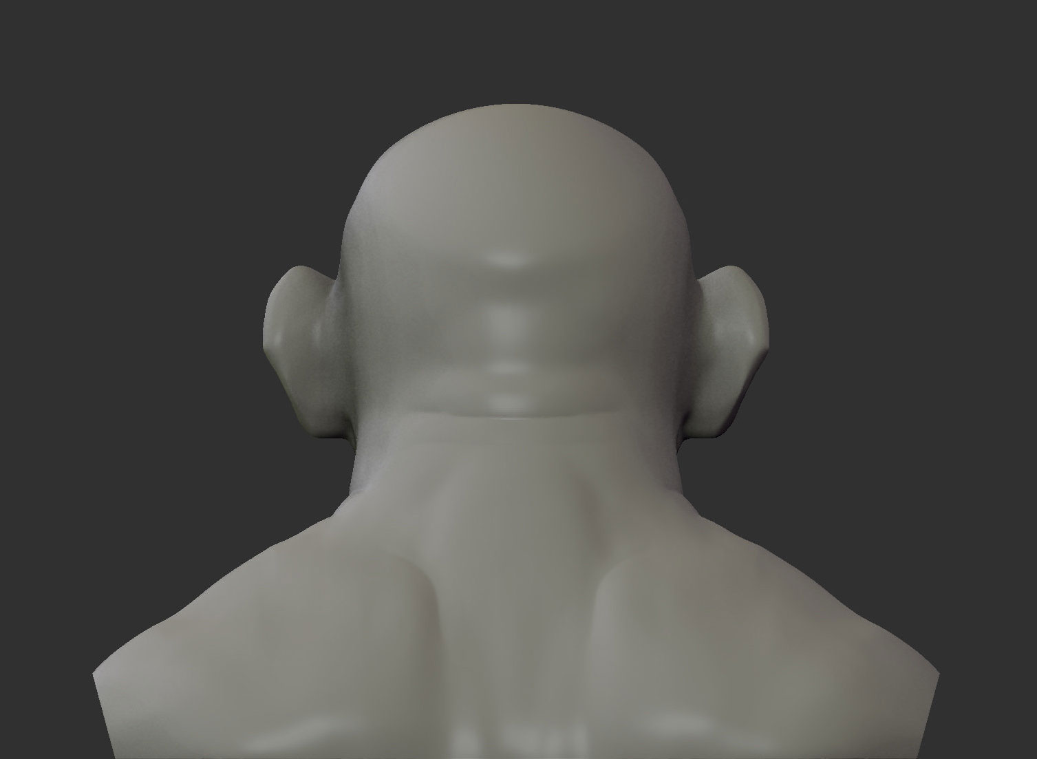 marko-rapaic-bust005.jpg