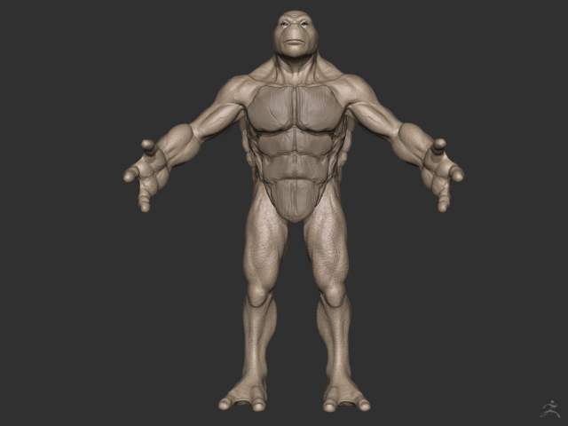 Model.gif