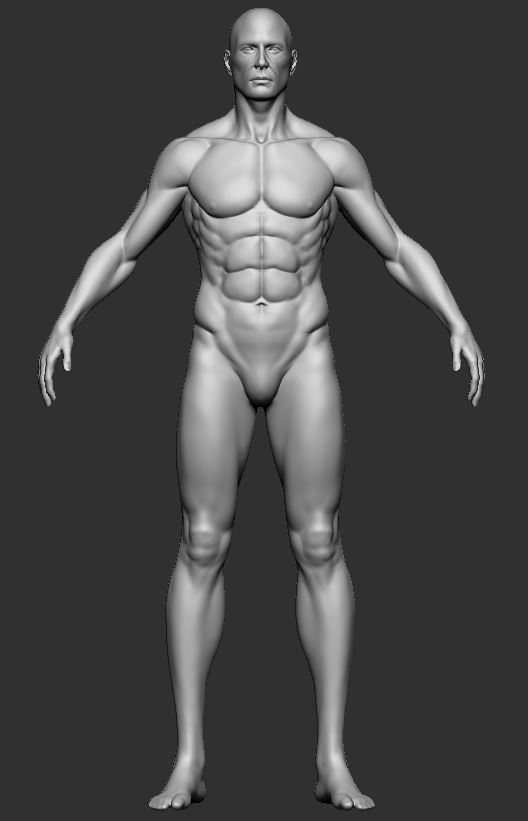 Male_Front2.JPG