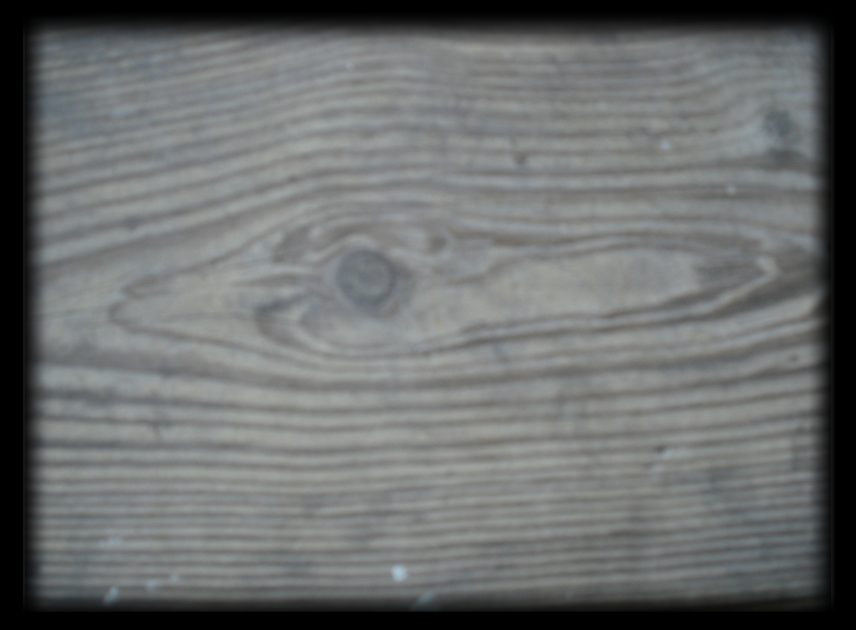 Wood_3 003.JPG