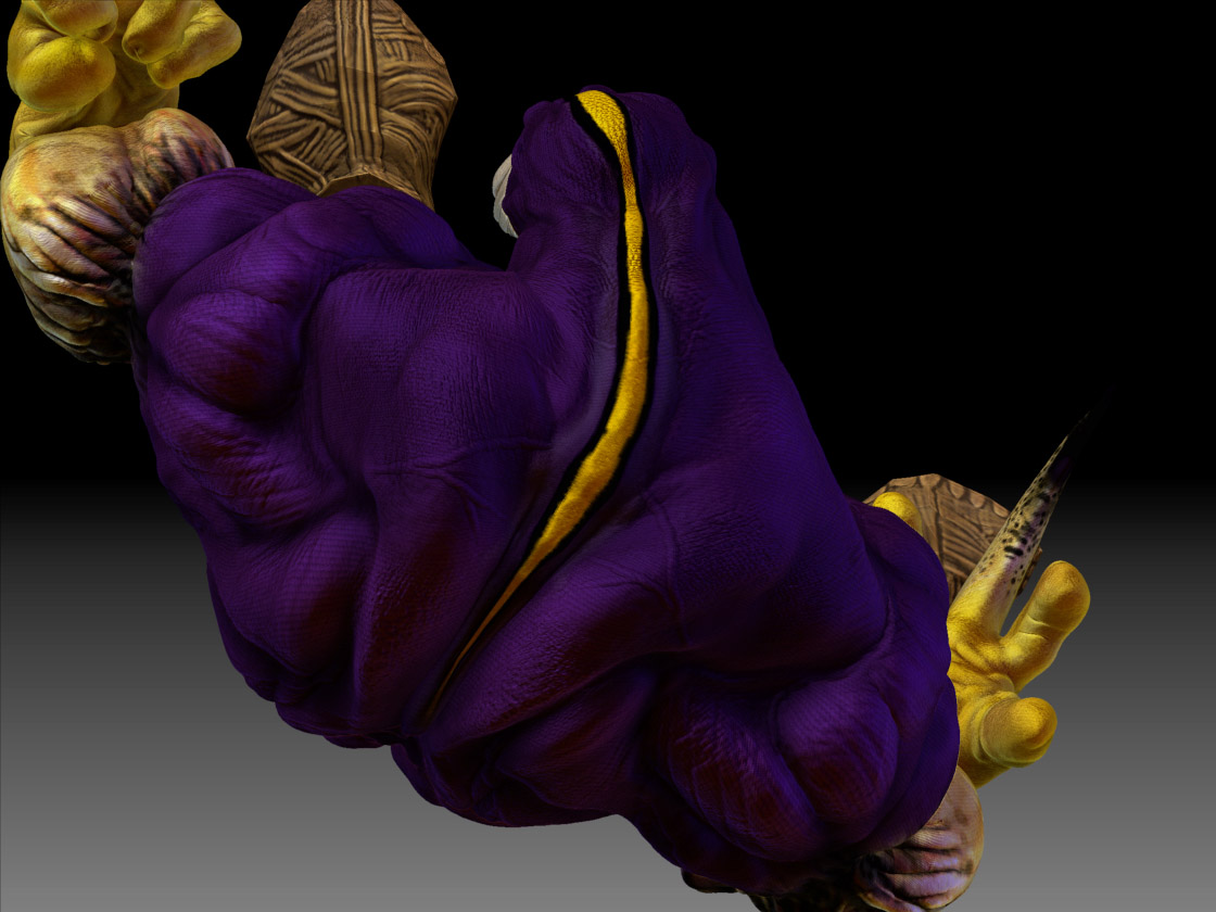 maxx3.jpg
