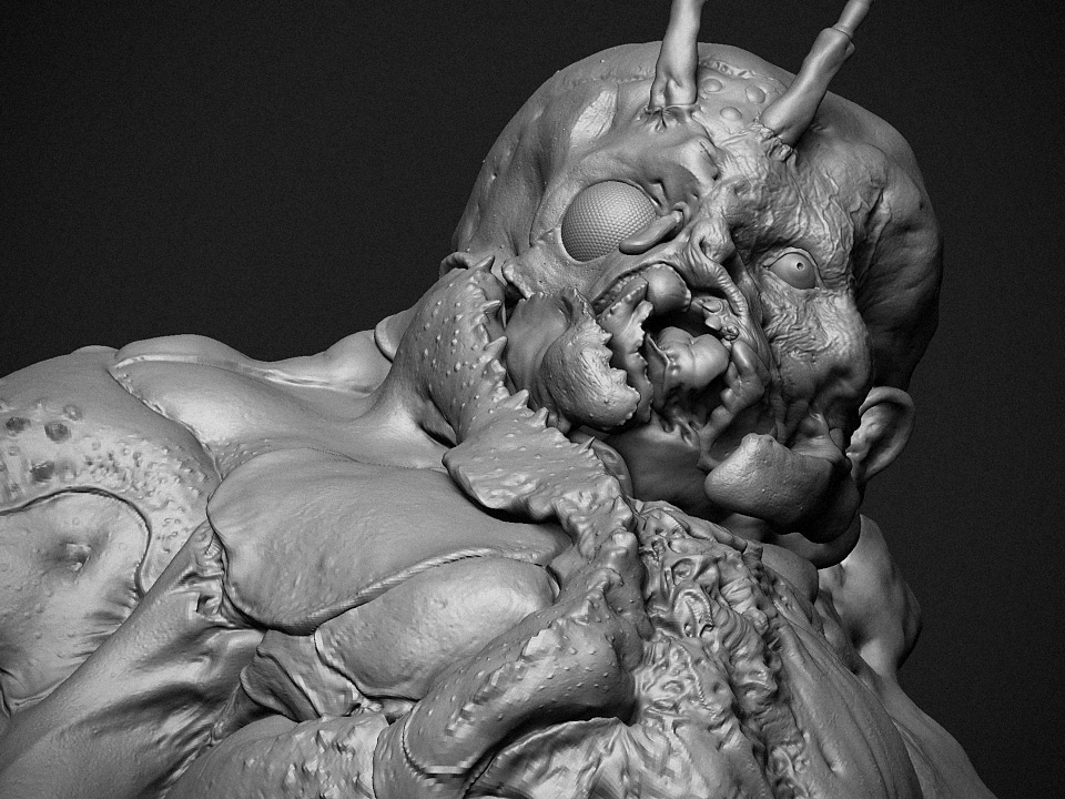 face_closeup1.jpg