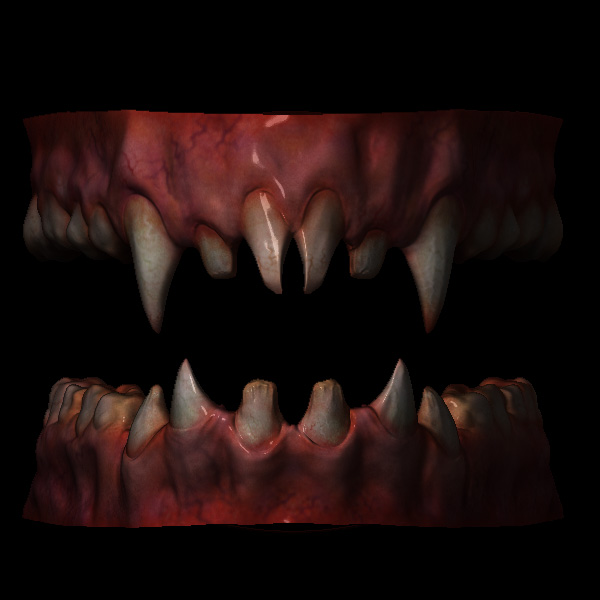 teeth_finished.jpg
