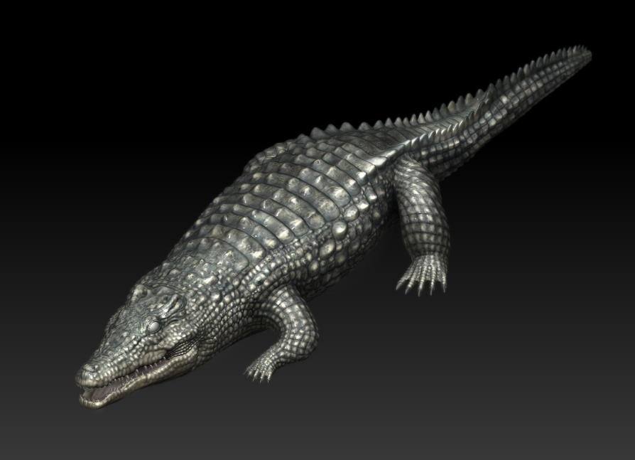 Crocpaint.jpg
