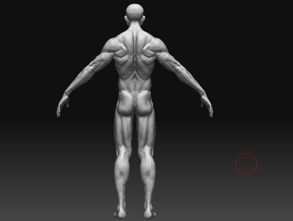 midlleeyewip_4.jpg
