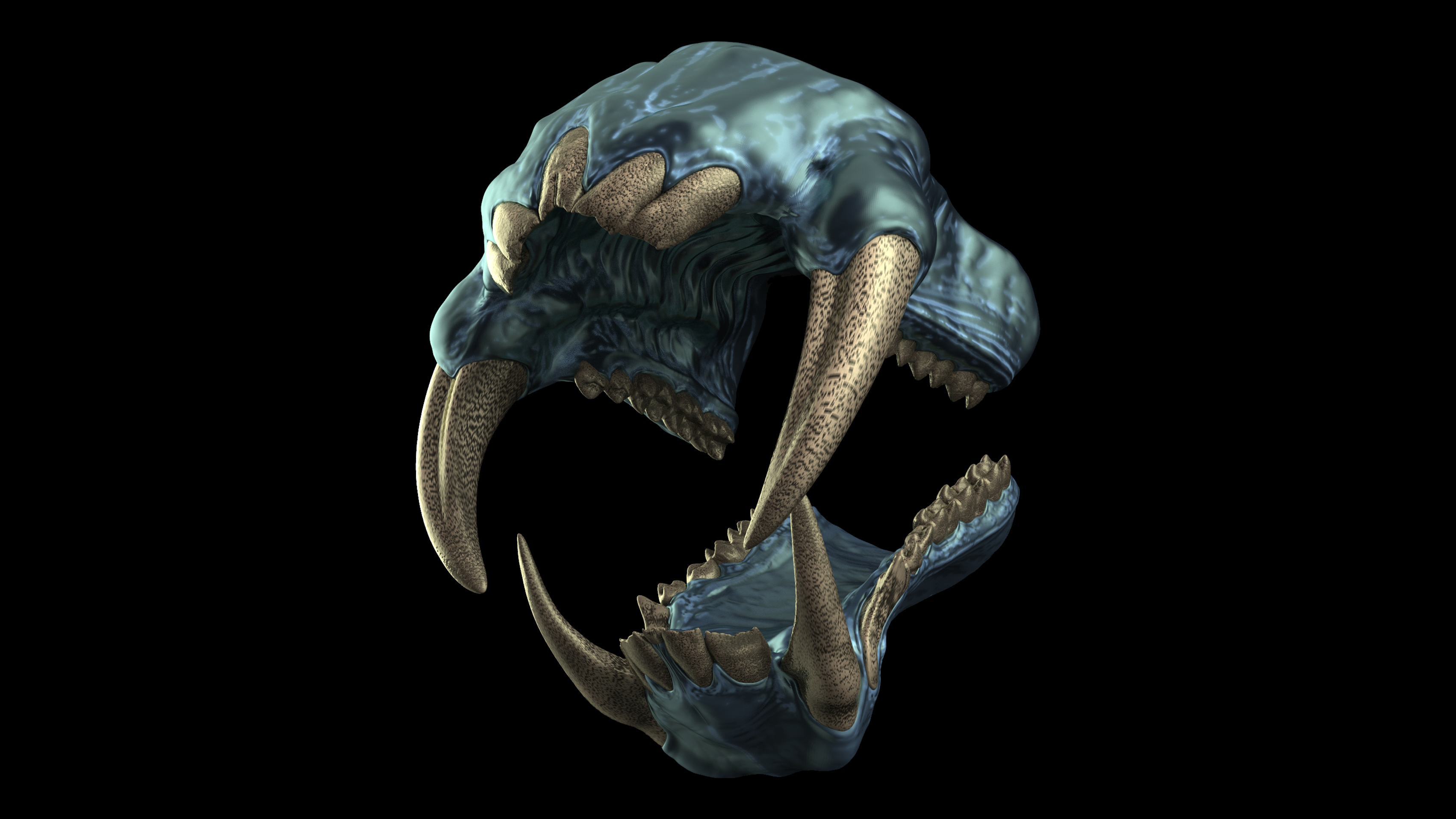 Teeth_Kits_Master_Views_Mandrill_13.jpg
