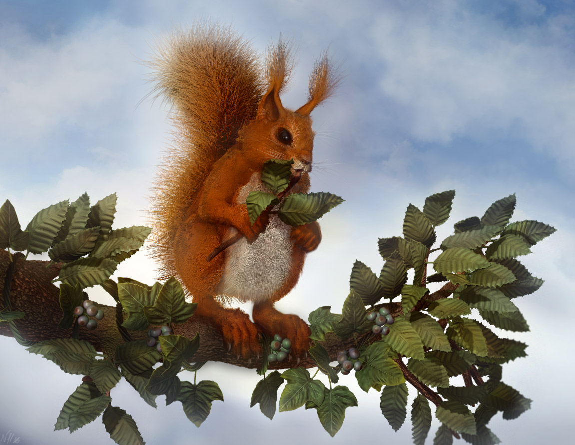 SquirrelNutkin_Best.jpg