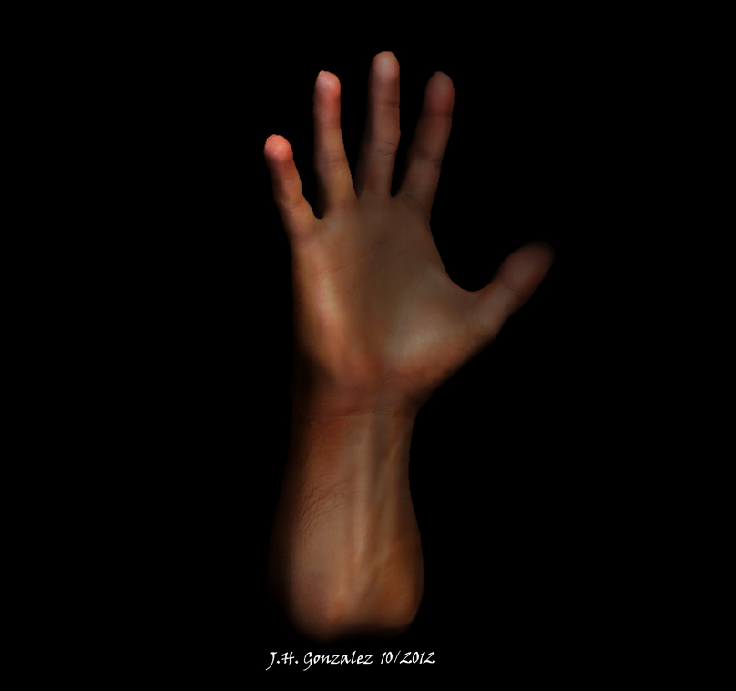 hand final palma.jpg