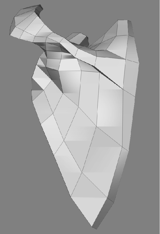 ScapulaFrontLowPoly_01.jpg