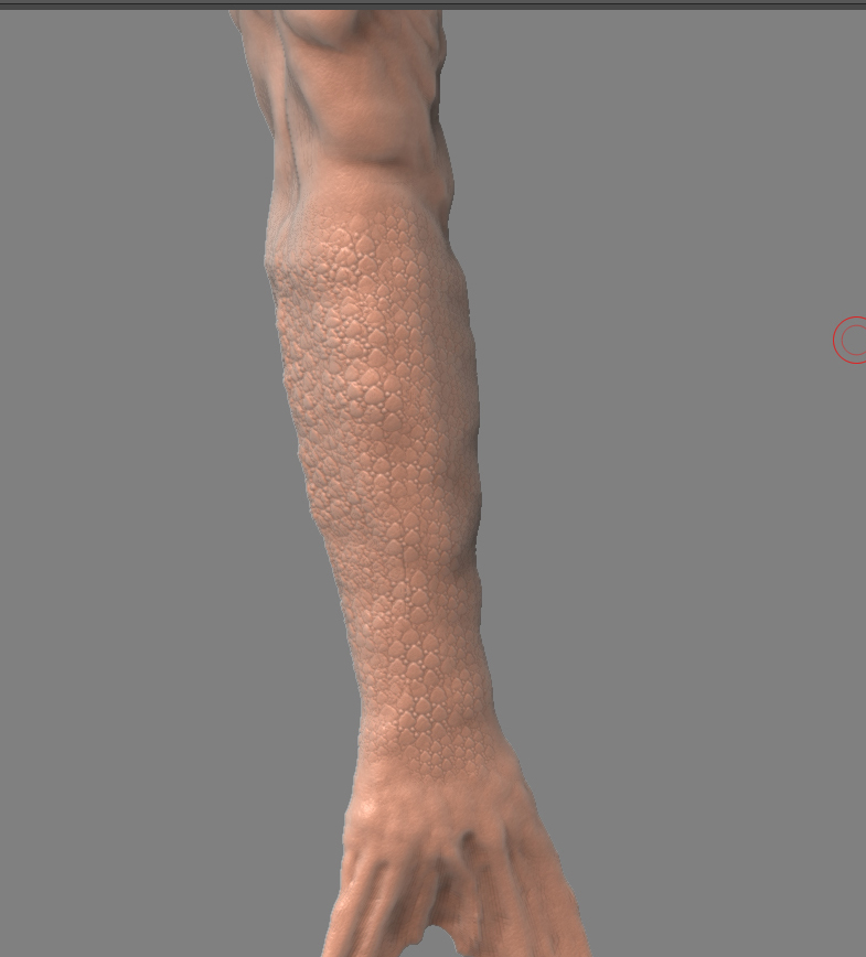 tail.jpg