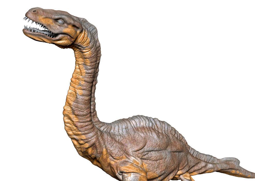 BPR_Render9.png