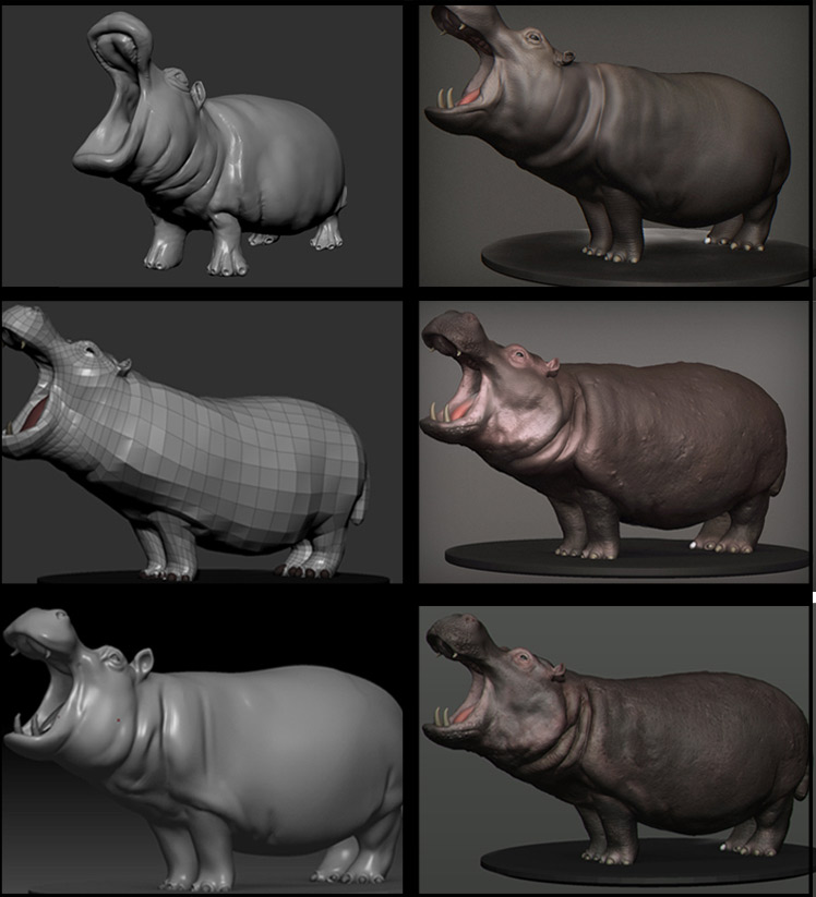 Progresso-modelado-hippopotamo-square.jpg