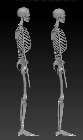 ZBrush Documentskeleton tilted toy plastic.jpg