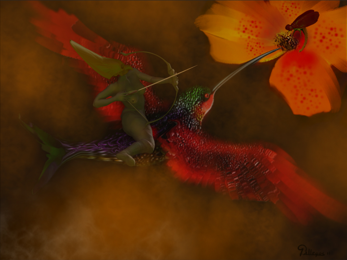 HUMMINGBIRD 28.jpg
